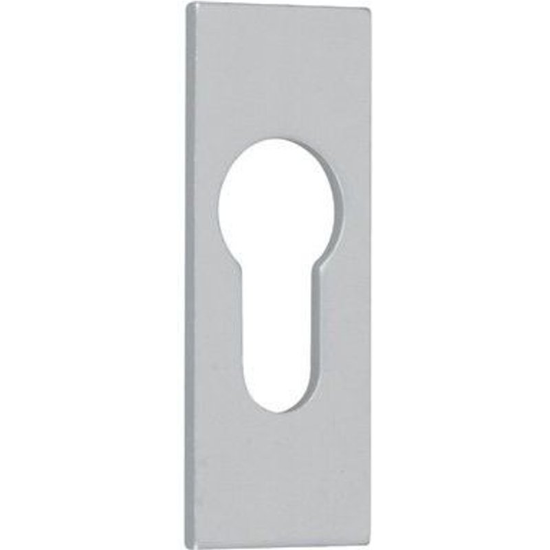 Rosace en aluminium adhésive cylindre européen - Argent