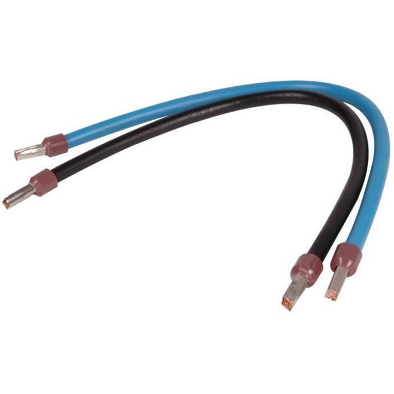 DEBFLEX 2 Cordons de repiquage 30 cm 10 mm² avec embout