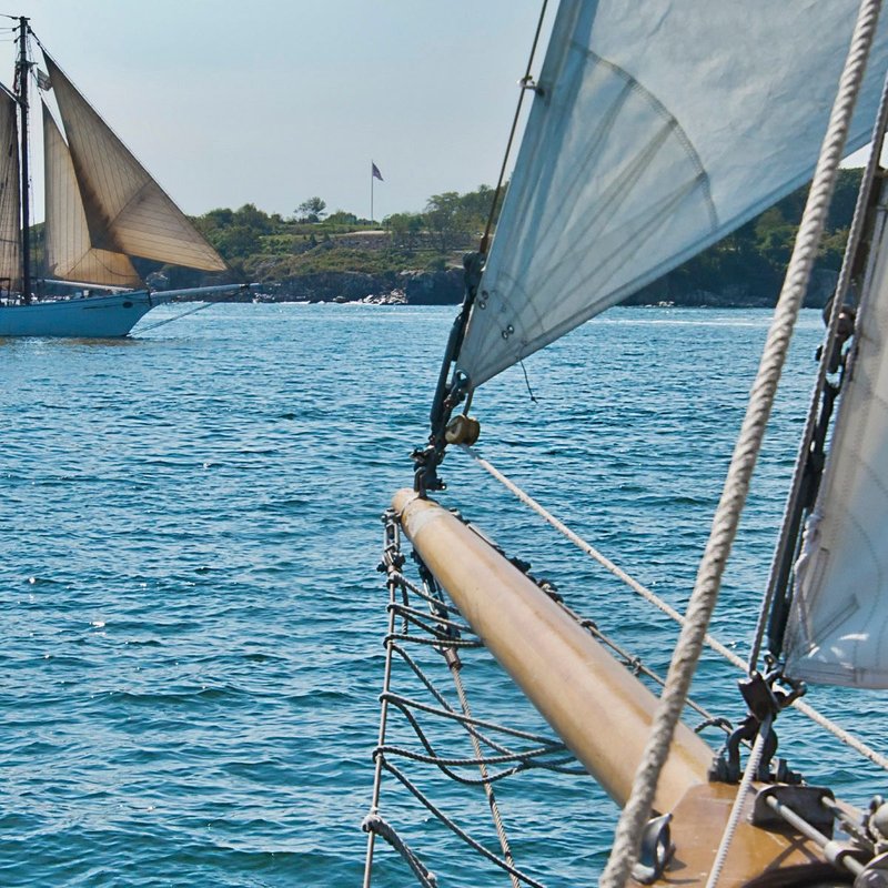 Sailing Photo Murale - 368 X 254 Cm - Enfants