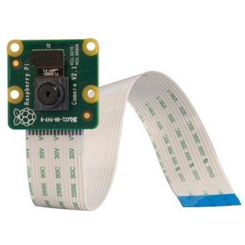 Module Caméra Raspberry Pi Camera V2