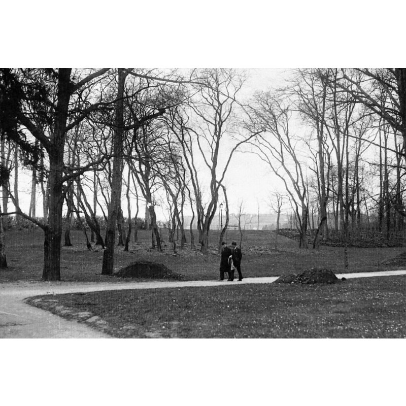 Ww2 - Promenade Dans Le Parc De Vichy Pour Le Mal Pétain Et Le Dr Ménétrel