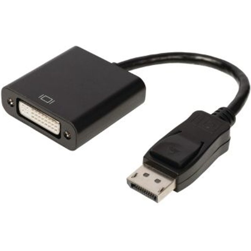 Câble DisplayPort vers DVI Display Port Mâle