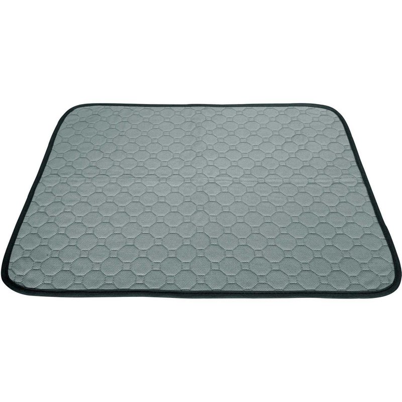 Tapis De Propreté Absorbant Et Lavable L - 60 X 90 Cm