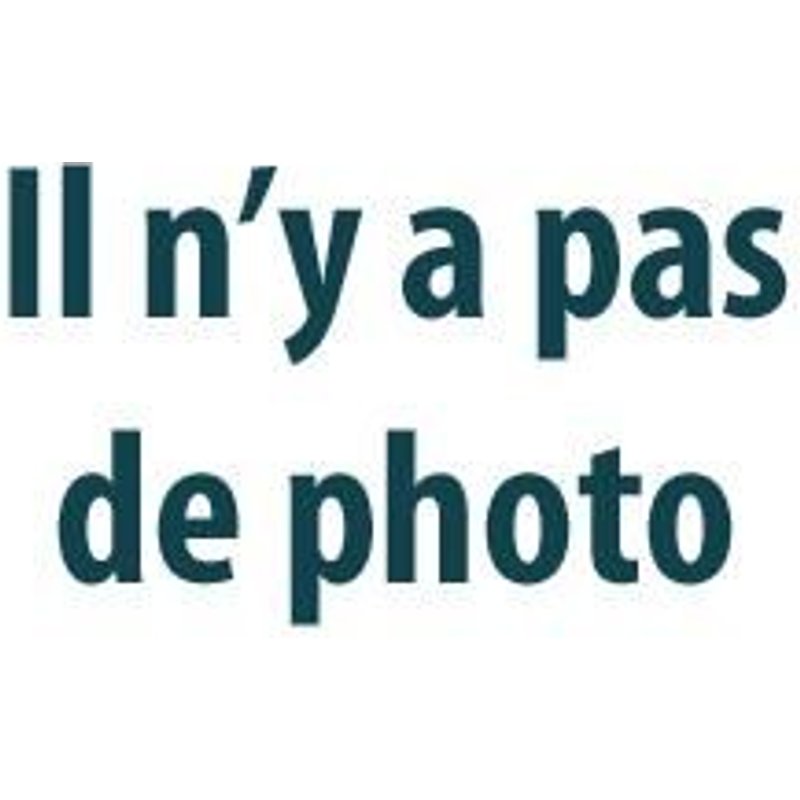 Feu Arriere Gauche Sans Partie Electrique 07/01< Pour Renault Clio