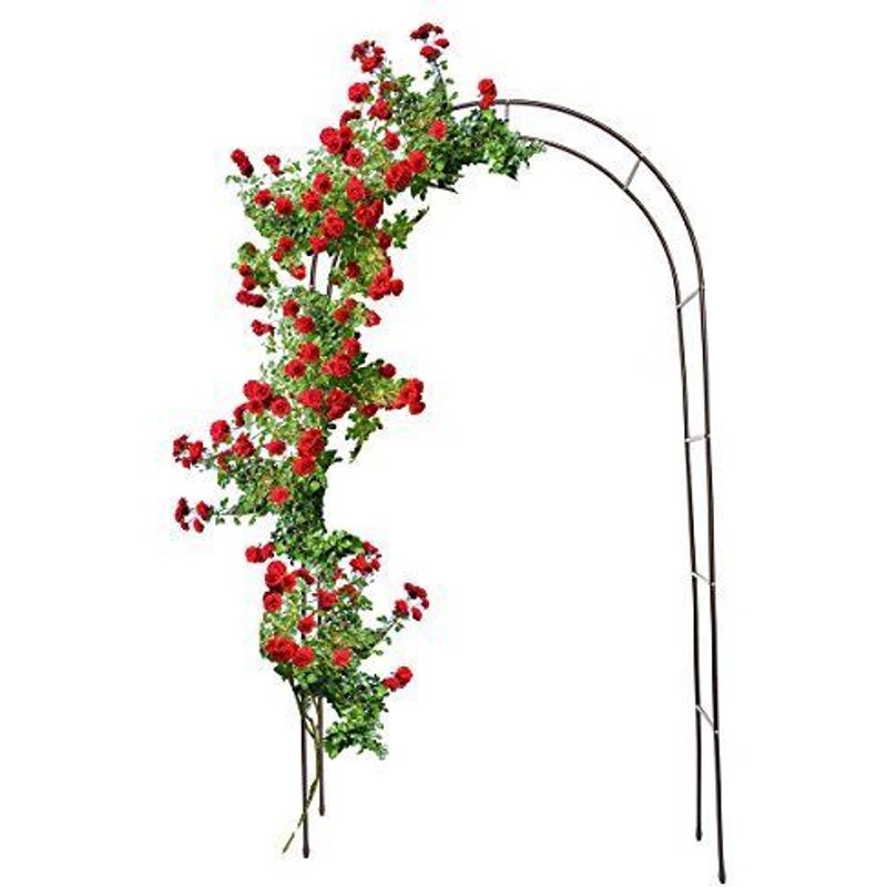 Relaxdays 10018871 Arche à Rosiers Plantes Grimpantes Métal/Acier 2,4 m