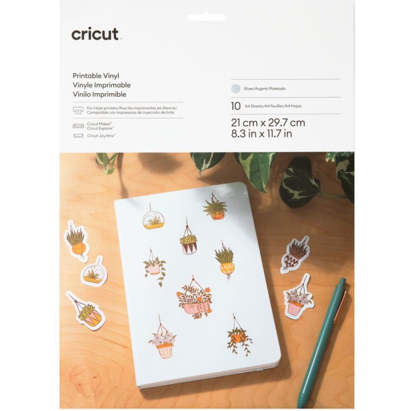 Accessoire CRICUT Vinyl A4 10 feuilles silver