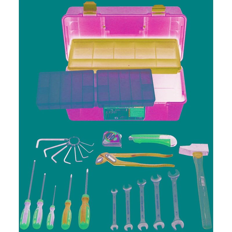 Caisse A Outils 22 Pcs 310Mm
