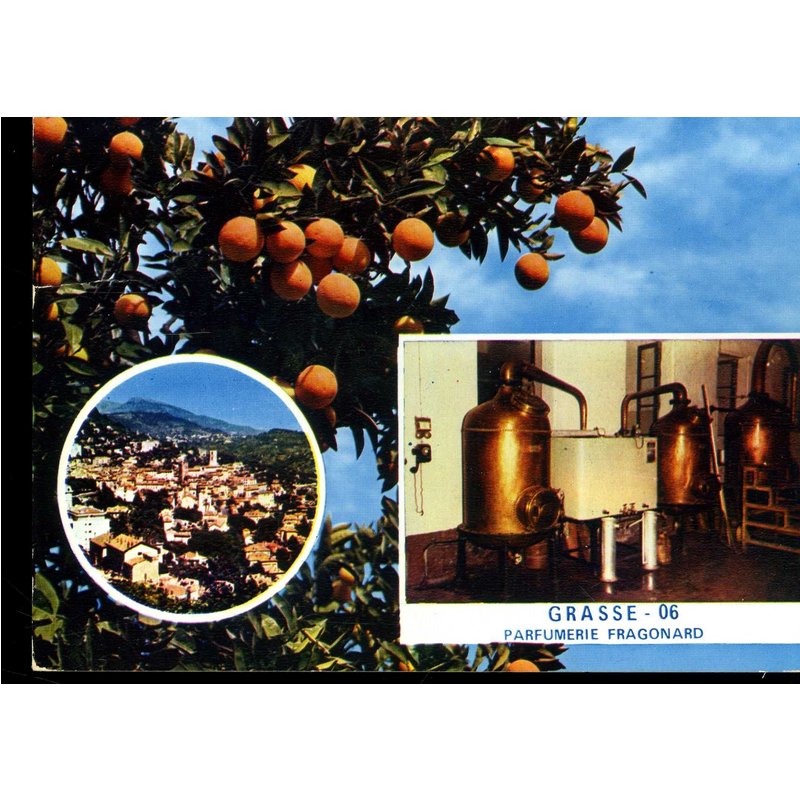 Carte Postale De Grasse (Alpes Maritimes) Distillation De L'oranger À La Parfumerie Fragonard