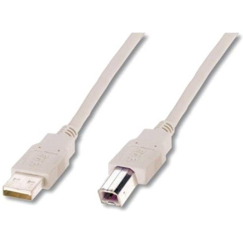 ASSMANN - Câble USB - USB type B (M) pour USB (M) - USB 2.0 - 3 m - moulé - beige