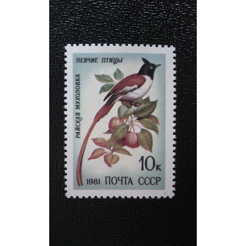 Timbre Russie Yt 4839 Moucherolle Du Paradis Asiatique (Terpsiphone Paradisi) 1981