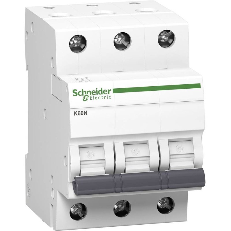 Disjoncteur Schneider Electric A9K01325 3814623 25 A