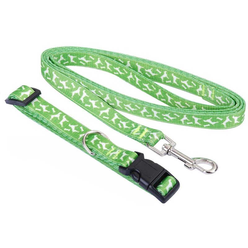 Collier Laisse - Taille S - Vert