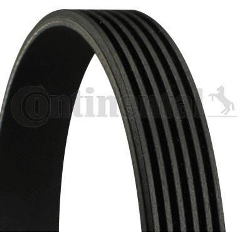 Courroie Striee 6pk1880