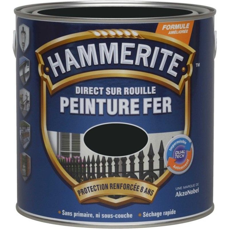 Peinture fer HAMMERITE Direct sur rouille satiné 2,5L noir