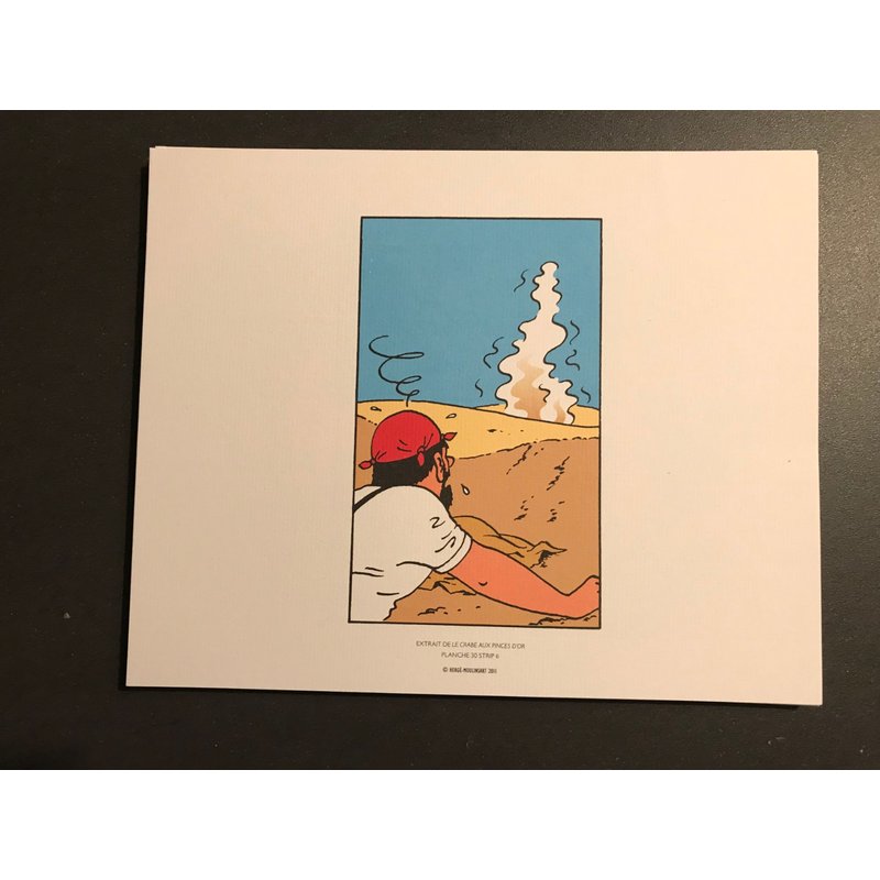 Tintin - Illusion2 - 19,5x24cm - Affiche / Poster Envoi En Tube