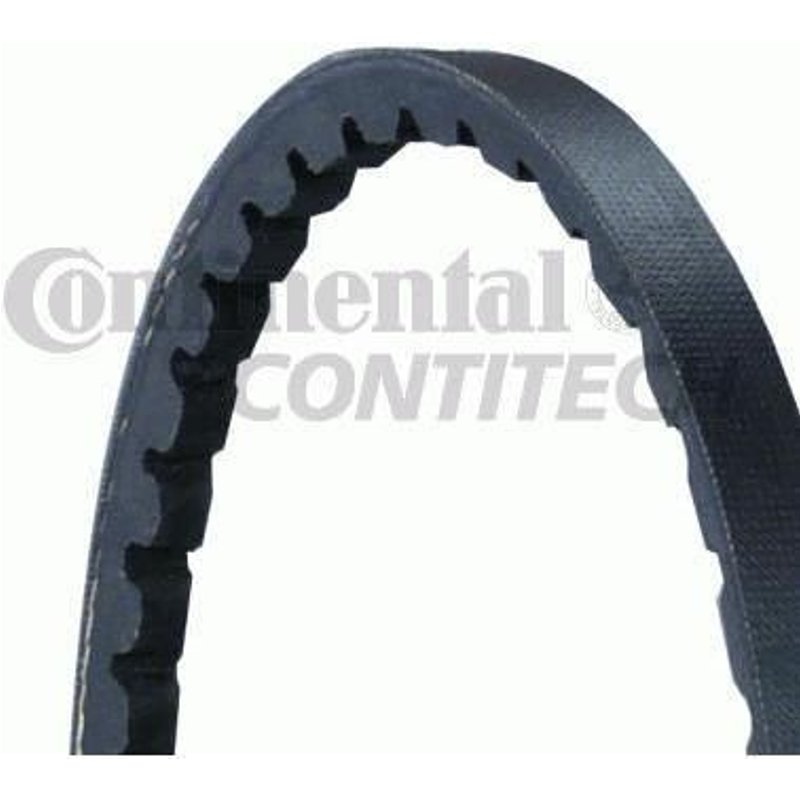 Contitech Courroie Trapezoidale 10x1500