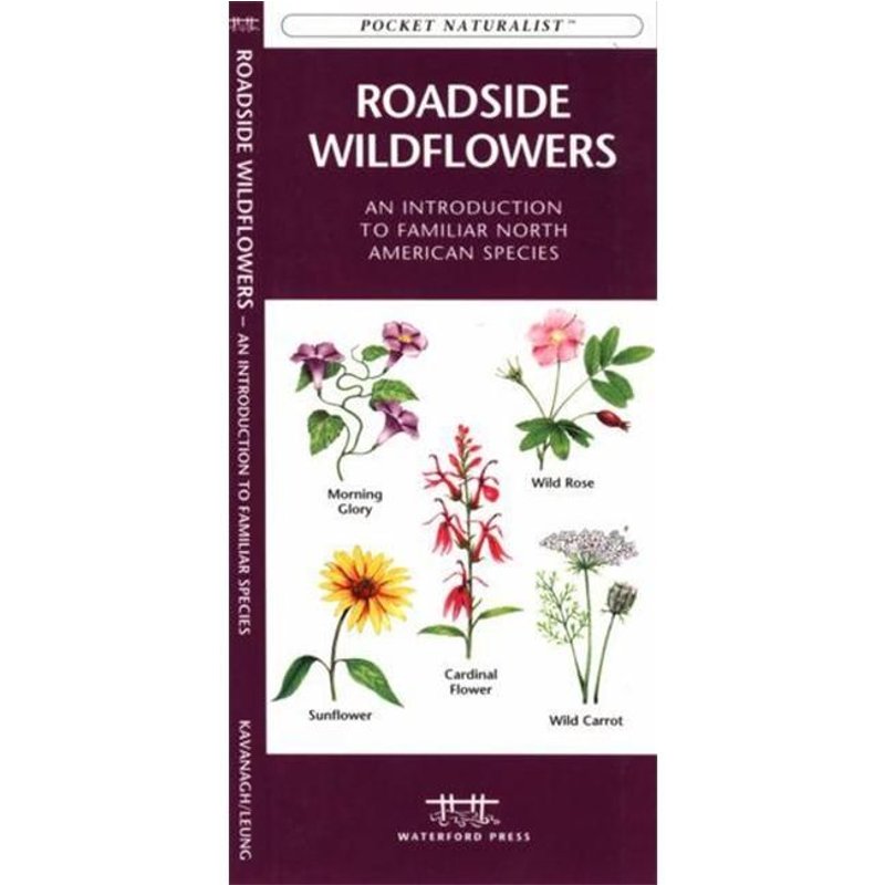 Waterford Press Wfp1583551790 Routière Fleurs Sauvages Livre: An Introduction To Familiar Espèce Nord-Américaine (Nature Guides Amérique Du Nord)