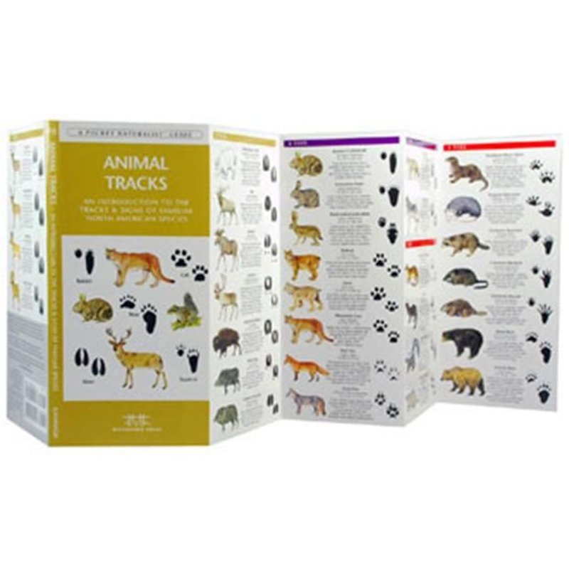 Waterford Wfp1583550724 Presse Voies Animale Livre