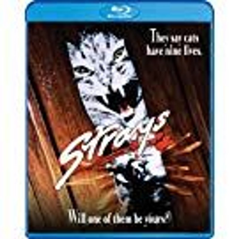 Strays - Cat's Les Tueurs D'homme