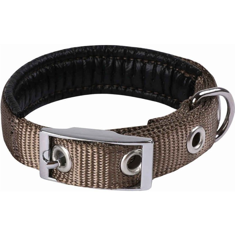Animalis - Collier Basic Confort 25mm Et 55cm Pour Chien - Taupe
