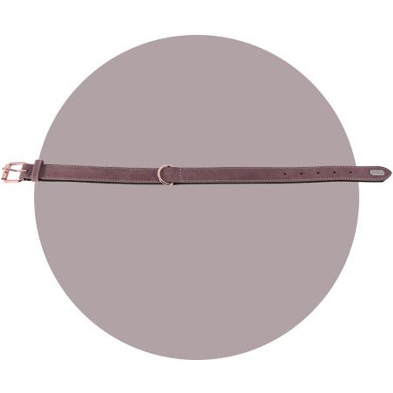 Collier Shiny Parme - Taille: T30 : 20 À 26 Cm X 15 Mm