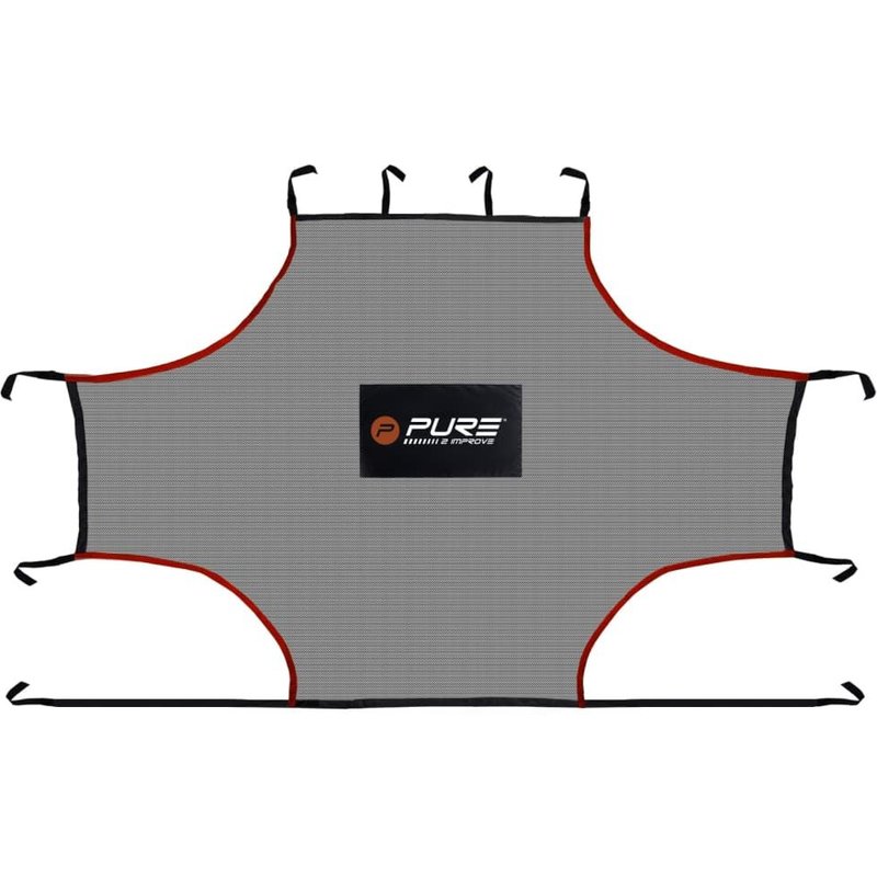 Pure2Improve Filet d'entraînement en salle 275 x 185 cm PE