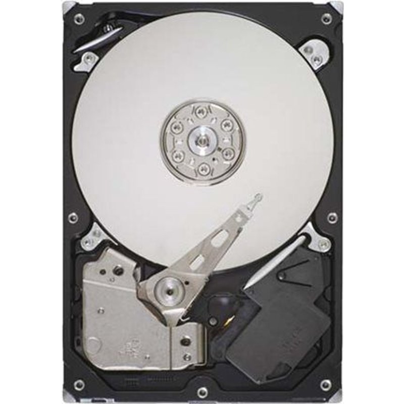 Seagate Desktop HDD ST3250318AS - Disque dur - 250 Go - interne - 3.5" - SATA 3Gb/s - 7200 tours/min - mémoire tampon : 8 Mo