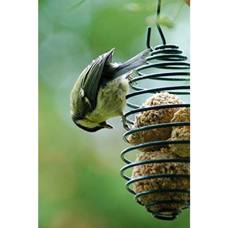 Dobar 11050doublure Spirale En Métal Revêtu Pulvérisation, Support De Graisse À Suspendre, 7,5x 26,5cm, Vert