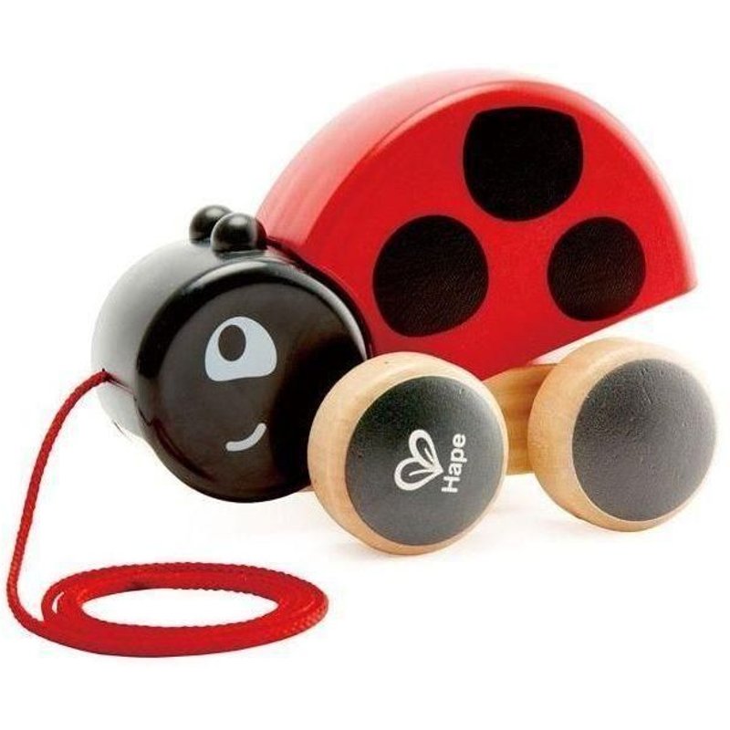 Hape Coccinelle A Tirer Hand Minute