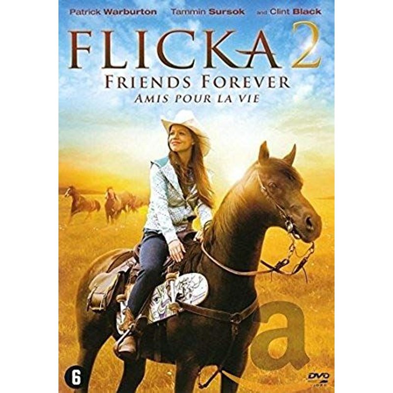 Flicka 2 (2010) Dvd