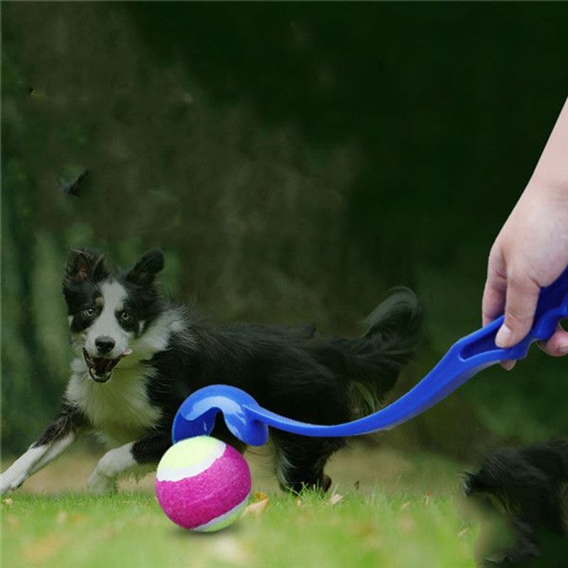 Lanceur De Jouets Pour Chiens Jouet De Balle De Tennis Long Manche En Plastique Throw Dog Playing Ball(;50cm)Couleur Aléatoire