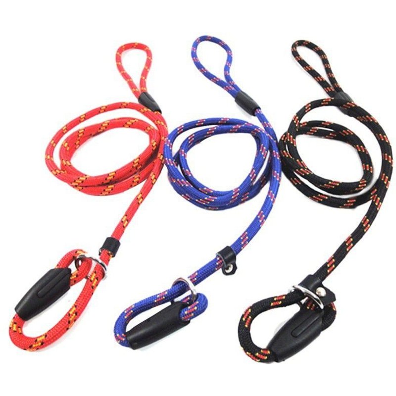 Colliers Et Fils Entraînement Marche Corde De Plomb Pour Animaux De Compagnie 160 Cm De Long En Nylon Fort Chien Chiot Laisse 3 Couleurs Kat Mene La Marche