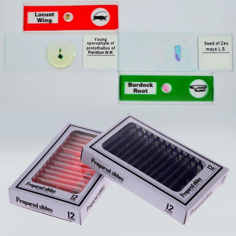 12 Pieces Enfants Prepare En Plastique Microscope Diapositives Animaux Insectes Fleurs Plantes Etudiant Echantillon Specimens Pour Microscopes Stereo