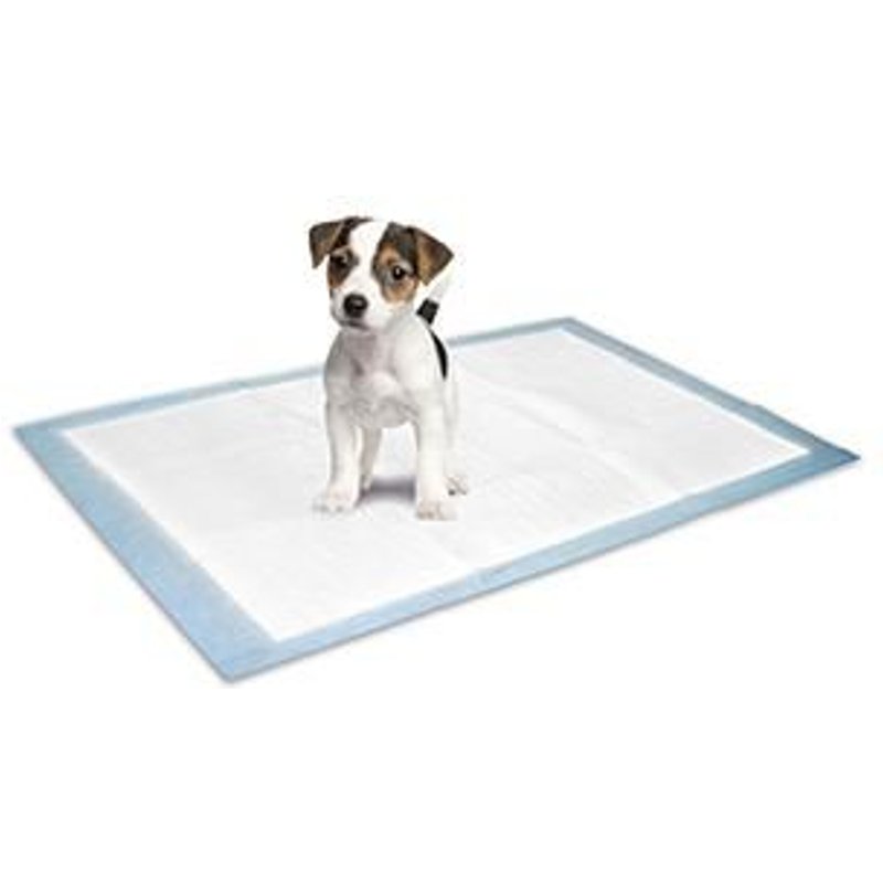 Tapis Educateur S 10pc 35x45cm