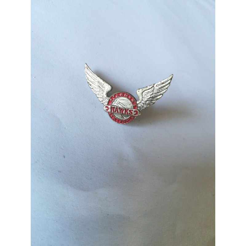 Pins Équipe Basket Hawks Atlanta Air Force Tres Rare