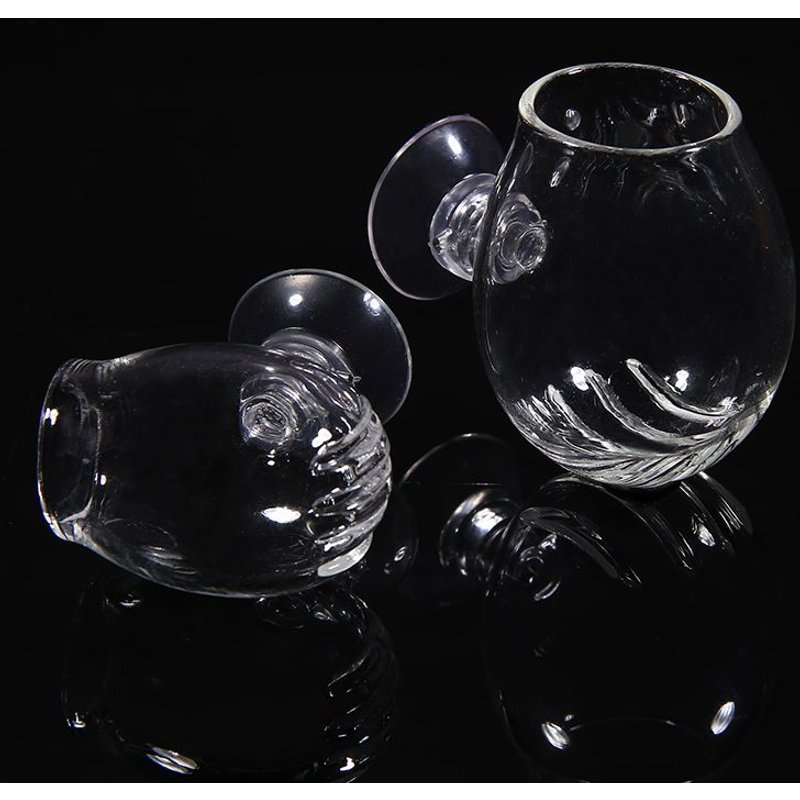 Xm Pot Aquarium En Verre S/L 1 Pièce Pot Aquarium En Verre Planti Décoration De Réservoir De Plantes Support De Cylindre De Plantes En Pot D'herbe + Ventouse