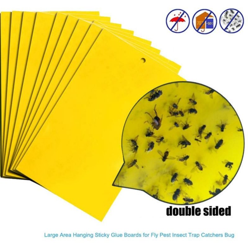 Bon66 Stickers environnementaux à mouches 1 pièce Stickers environnementaux deux faces piège de planche tueur d'insectes autocollants de colle Stickers de planche pièges à mouches à fruits fournitures antiparasitaires