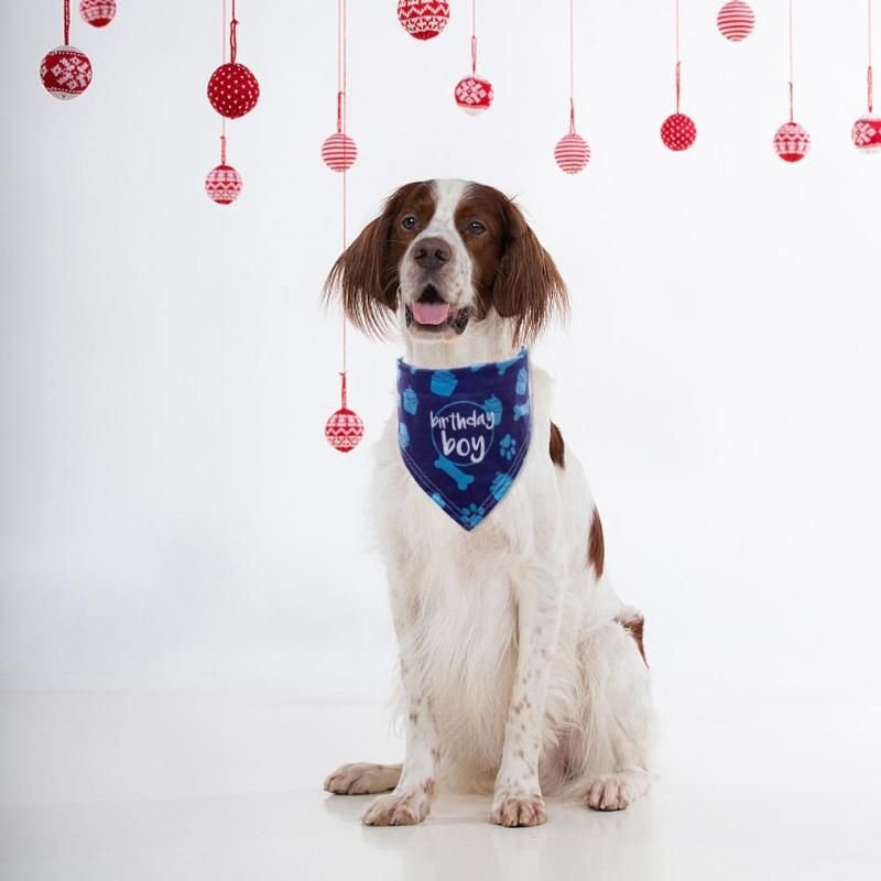 Xm Bavoir Chien Chat Écharpe Pour Chien Chat Écharpe Pour Animal De Compagnie Saliva Serviette Collier Foulard Pour Chiot