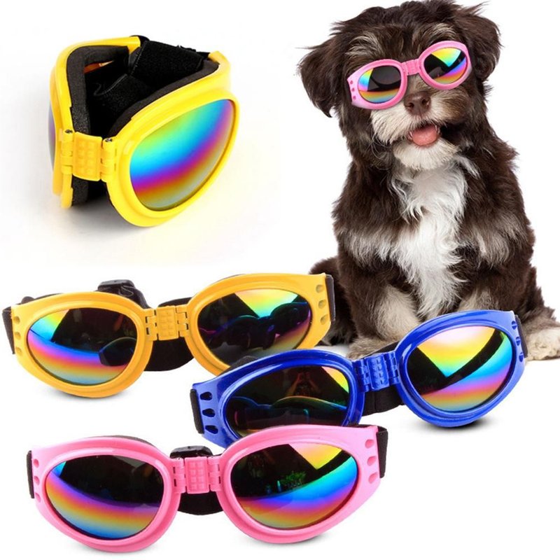 Xm Lunettes De Soleil Pliables Pour Chiens Imperméables Anti-Vent Anti-Cueillette Anti-Uv Fournitures Pour Chiens De Compagnie