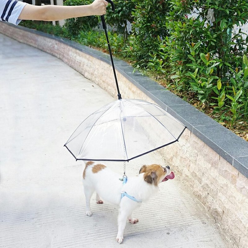Xm Parapluie Pour Animaux Domestiques Transparent Pliant Protection Pour Chien Chiots Housse Imperméable Avec Laisse