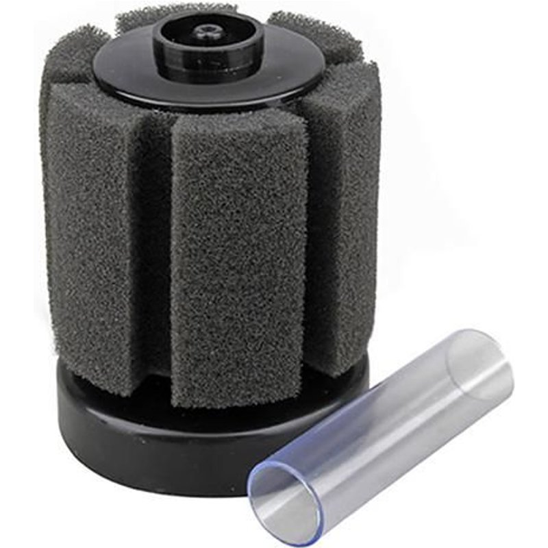 Xm Filtre Éponge D'aquarium Mousse De Filtration Pour Aquarium Aquarium