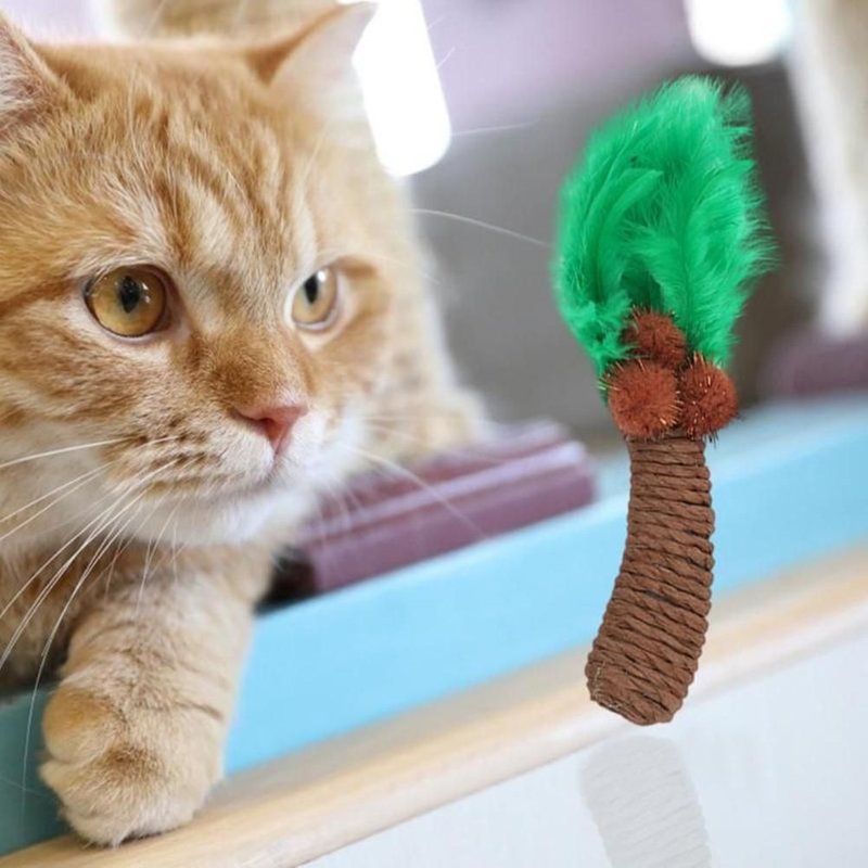 Xm Jouet De Jeu En Forme De Cocotier Plume De Chaton De Compagnie En Forme D'arbre De Coco Molar Résistant Aux Morsures Jouet Tachant