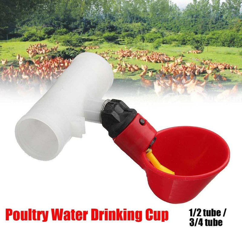 Xm 5/10 Pièces Volaille Eau Potable Tasses Poulet Poule Réglable Automatique Boisson Buveur Titulaire Oiseau Volaille Coop Mangeoire Fournitures D'alimentation