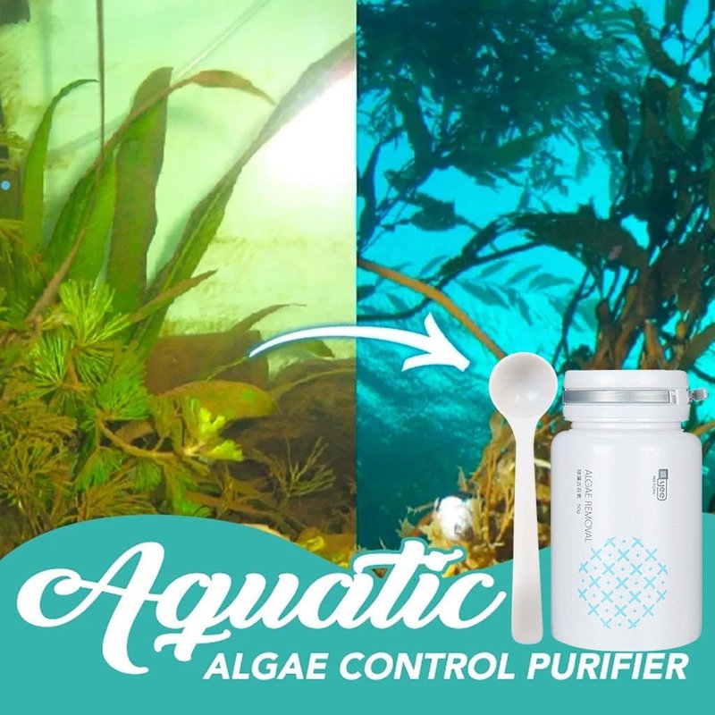 Aquarium Algicide Algues Contrôle Algues Détergent Purification Eau Avec Cuillère Accessoires Outils De Nettoyage Poudre Jardin Maison # T2