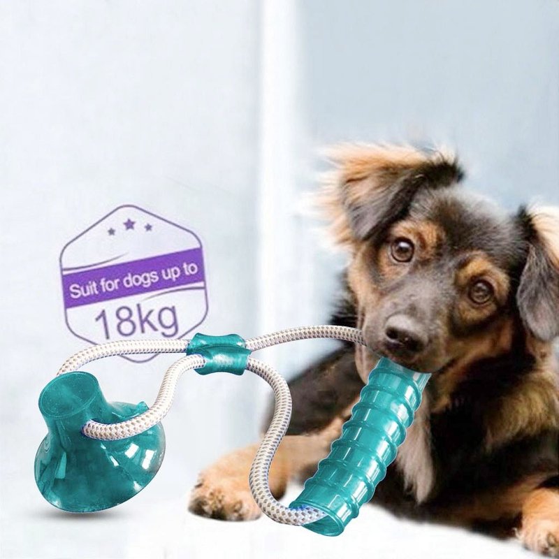 Xui Jouet Tpr Ventouse Pour Chien Jouet Activité Interactive, Jouet Chien Ropeball, Jouets Pour Toug, Dent De Compagnie Ropeball, Jouets Multifonctions Pour Morsure Molar Des Animaux De Compagnie