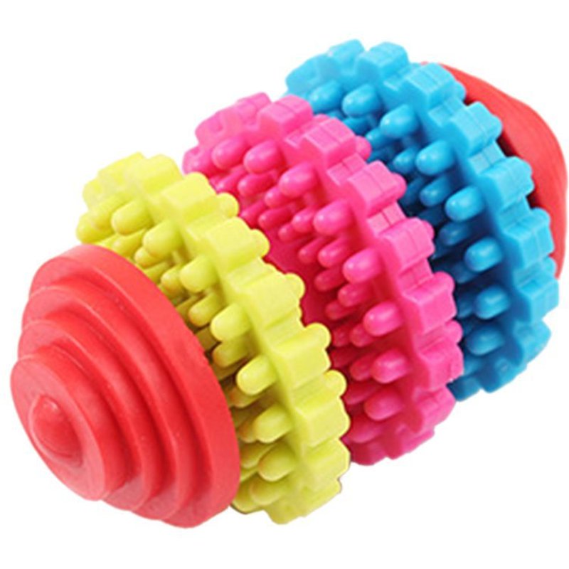 Xeme Coloré Chien Chien Dentition Dentaire Dentition Dents Saines Mâcher Formation Jouer Balle Jouet
