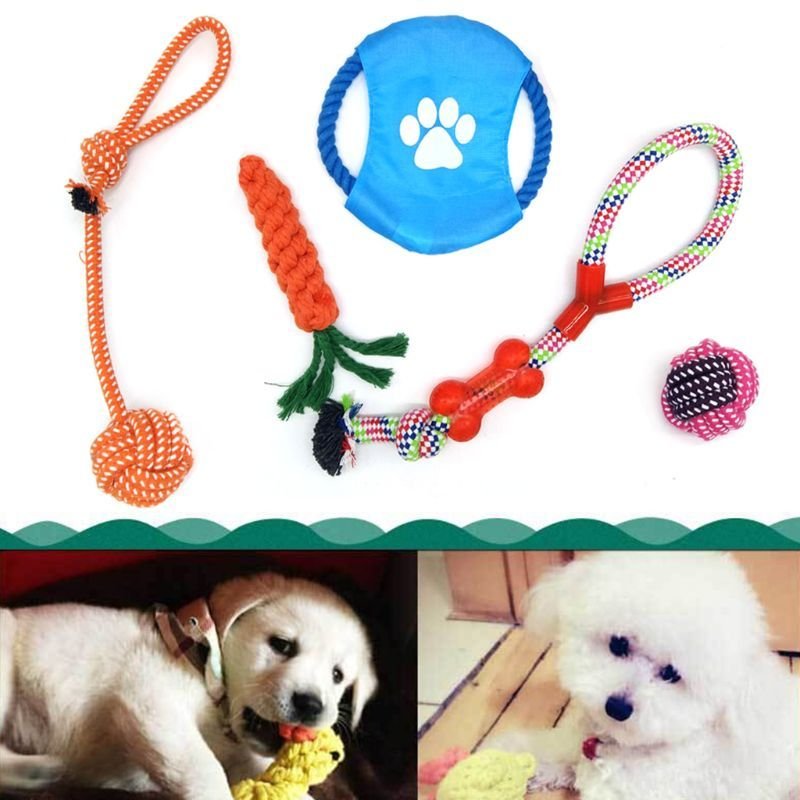 Jouets À Mâcher Pour Chiens De 5 Pièces Pour Chien Chiot Et Petit Chien Moyen Molaires Morsure Corde À Noeuds Boule De Chien Jouet Fournitures D'animaux Pxpc