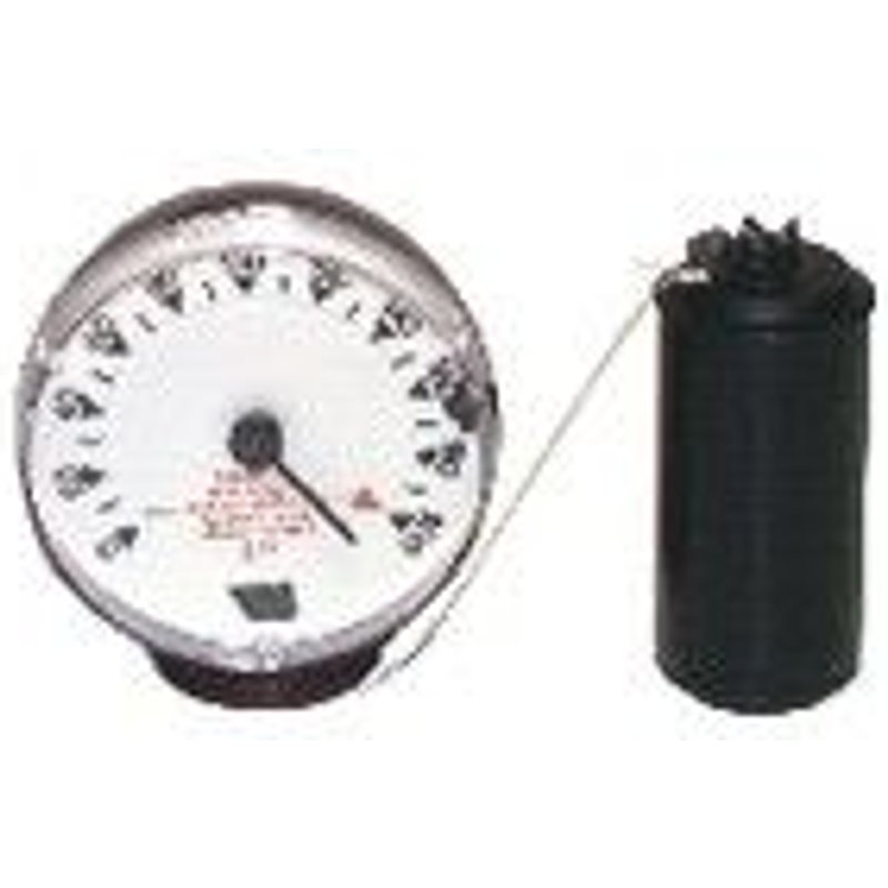 Jauge Mécanique À Flotteur M 220v - Watts Industries : 22l0103102