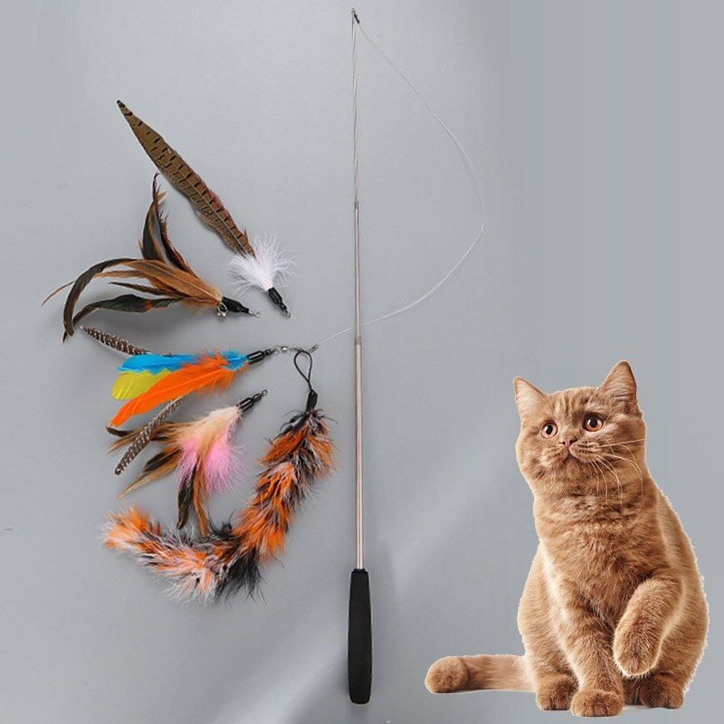 Xue Jeu De Jouets Teaser Pour Chats En Pet Bâton Flexible Avec 5 Pièces Jouets De Rechange Chaton À Plumes Jouets Interactifs