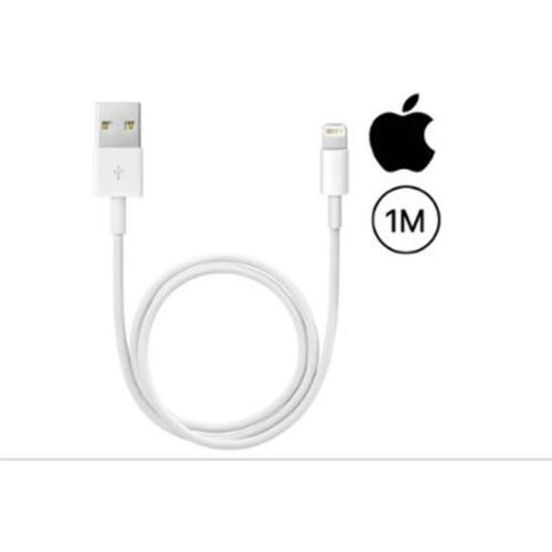 Câble Lightning vers USB (1M) MD818ZM/A Apple Origine